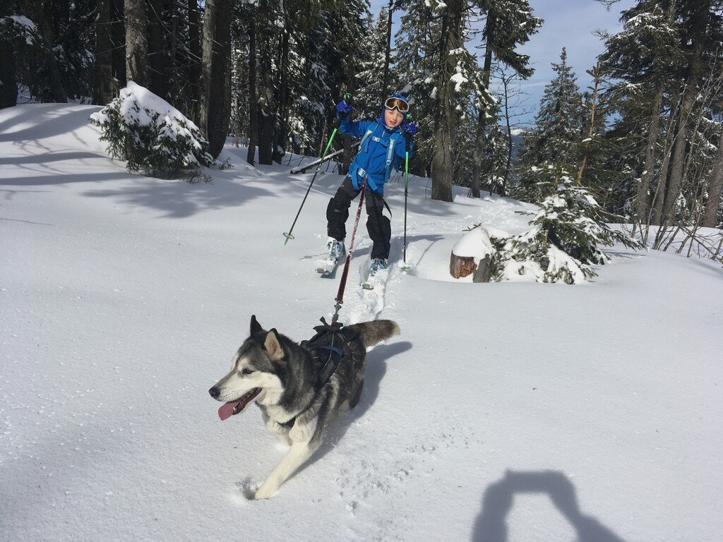 Recenze skitouringového adaptéru Contour StartUp Recenze skitouringového adaptéru Contour StartUp