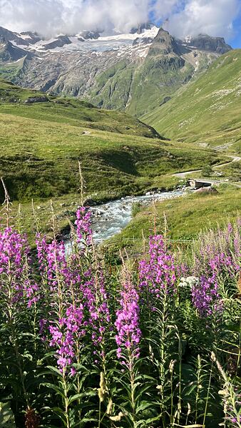 tour-du-mont-blanc