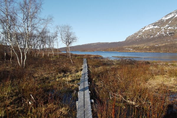 kungsleden-svedsky-trek-bez-lidi-2dil