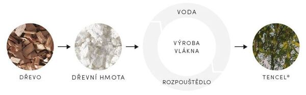 Infografika: proces přeměny dřeva eukaliptovníku na vlánkno Tencel Lyocell