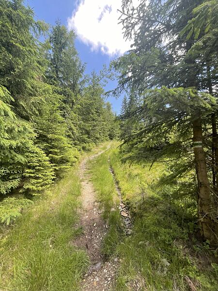 Nádherný trail po zelené podél Dřevařského potoka