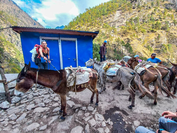 Z treku Tsum Valley - oslíci jsou neodmyslitelná součást této oblasti