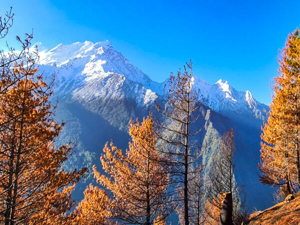 Tsum Valley trek patří mezi trasy, na kterých je povinný licencovaný průvodce a agenturou vydaná karta TIMS