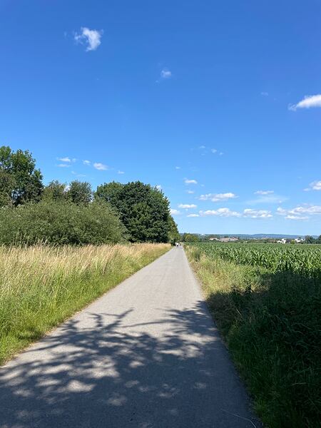 spolecne-vybehy-po-trasach-trailtour-olomouc