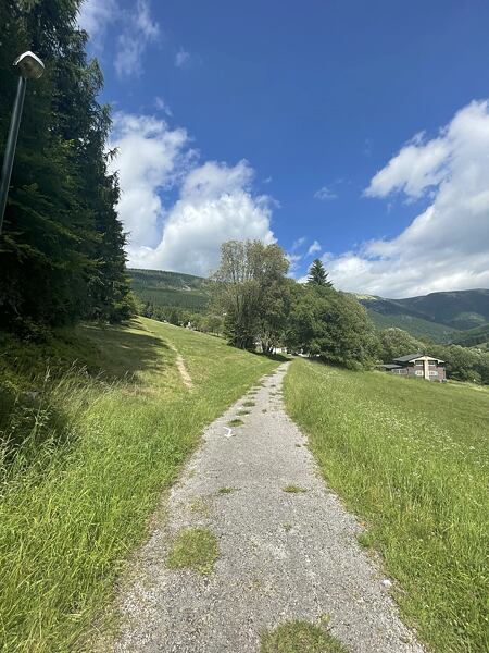 Po přeběhnutí hlavní silnice vede trasa po šotolinové silničce až k louce, a dál podél lesa po vyšlapané pěšině