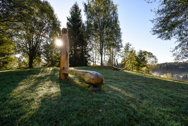 trailrunning-camp-sumava-lipensko-pasecna