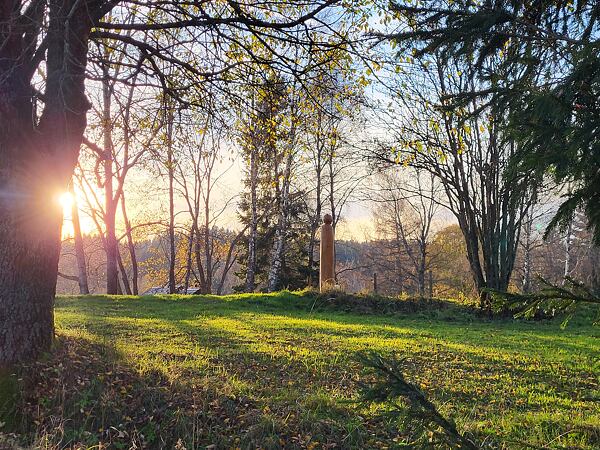 trailrunning-camp-sumava-lipensko-pasecna