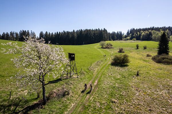 trailrunning-camp-sumava-lipensko-pasecna